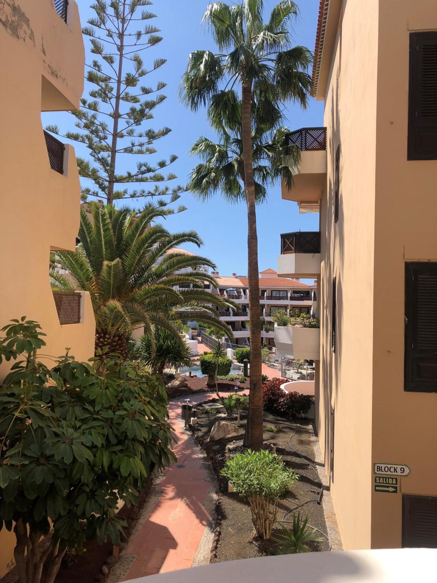 Apartamento Albatros Golf Del Sur Apt 257 San Miguel de Abona Kültér fotó